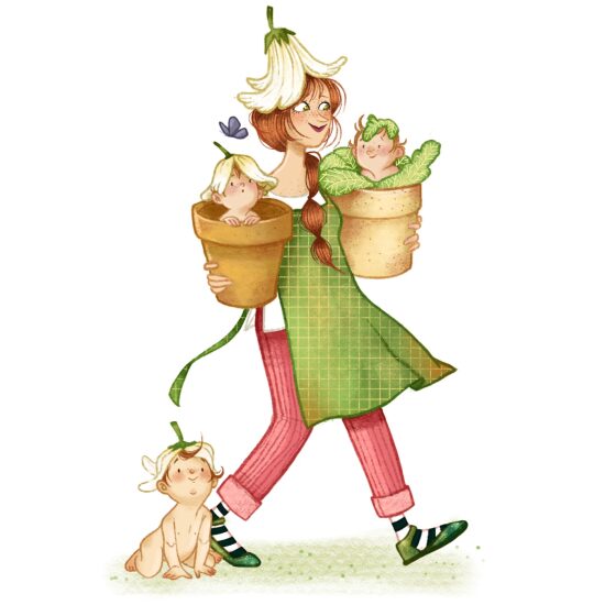 Illustrations